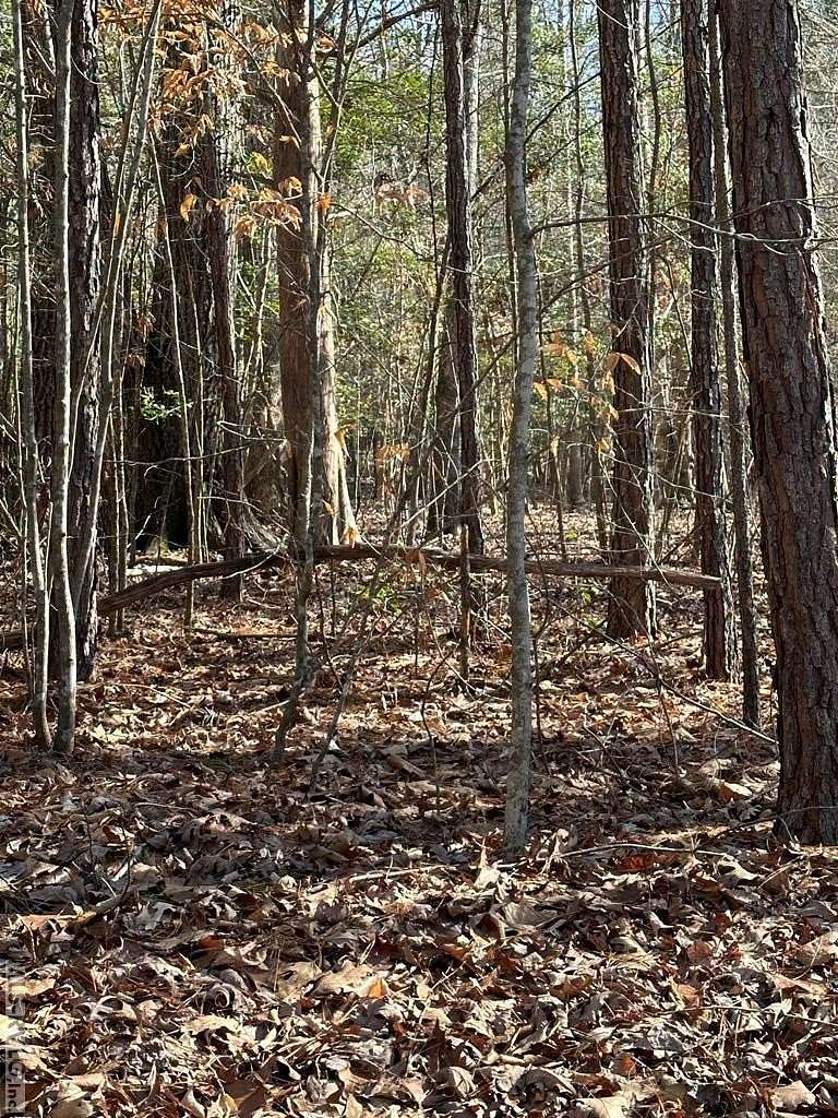 3.42 Acres of Residential Land for Sale in Ebony, Virginia