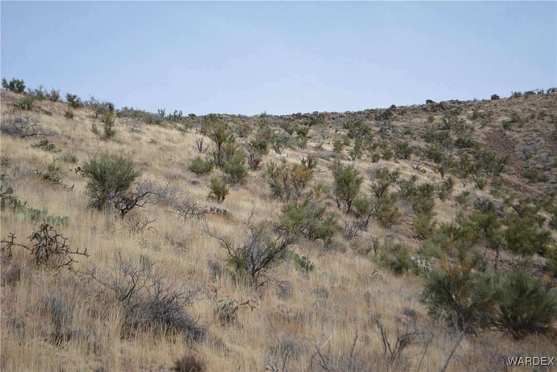 40.22 Acres of Recreational Land & Farm for Sale in Kingman, Arizona