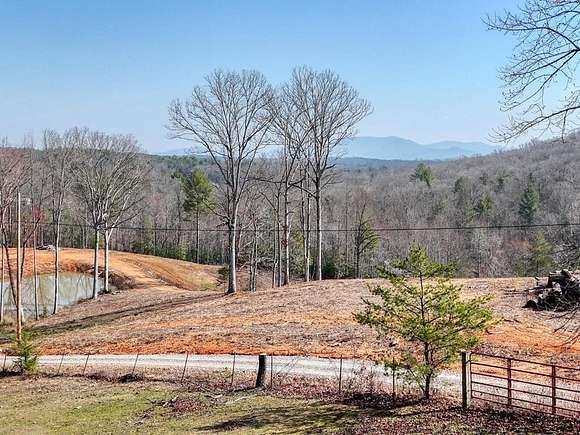 1 Acre of Residential Land for Sale in Blue Ridge, Georgia