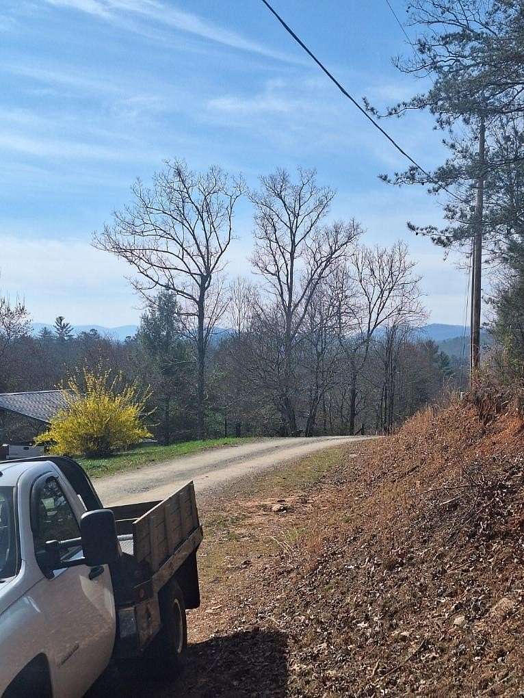 1 Acre of Residential Land for Sale in Blue Ridge, Georgia