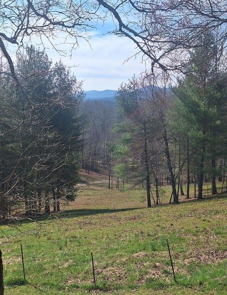 1 Acre of Residential Land for Sale in Blue Ridge, Georgia