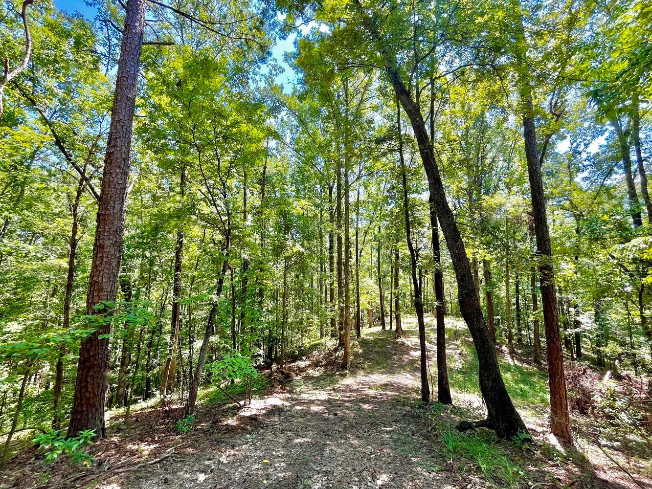 80 Acres of Recreational Land for Sale in Leeds, Alabama