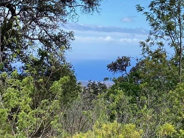 1.001 Acres of Land for Sale in Hawaiian Ocean View, Hawaii