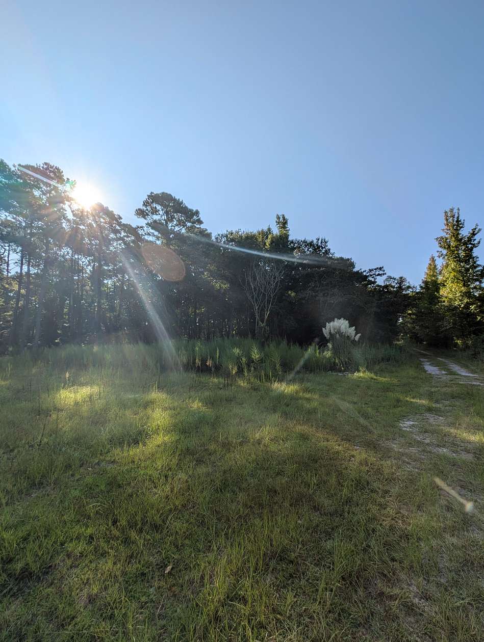 2.29 Acres of Residential Land for Sale in Elgin, South Carolina