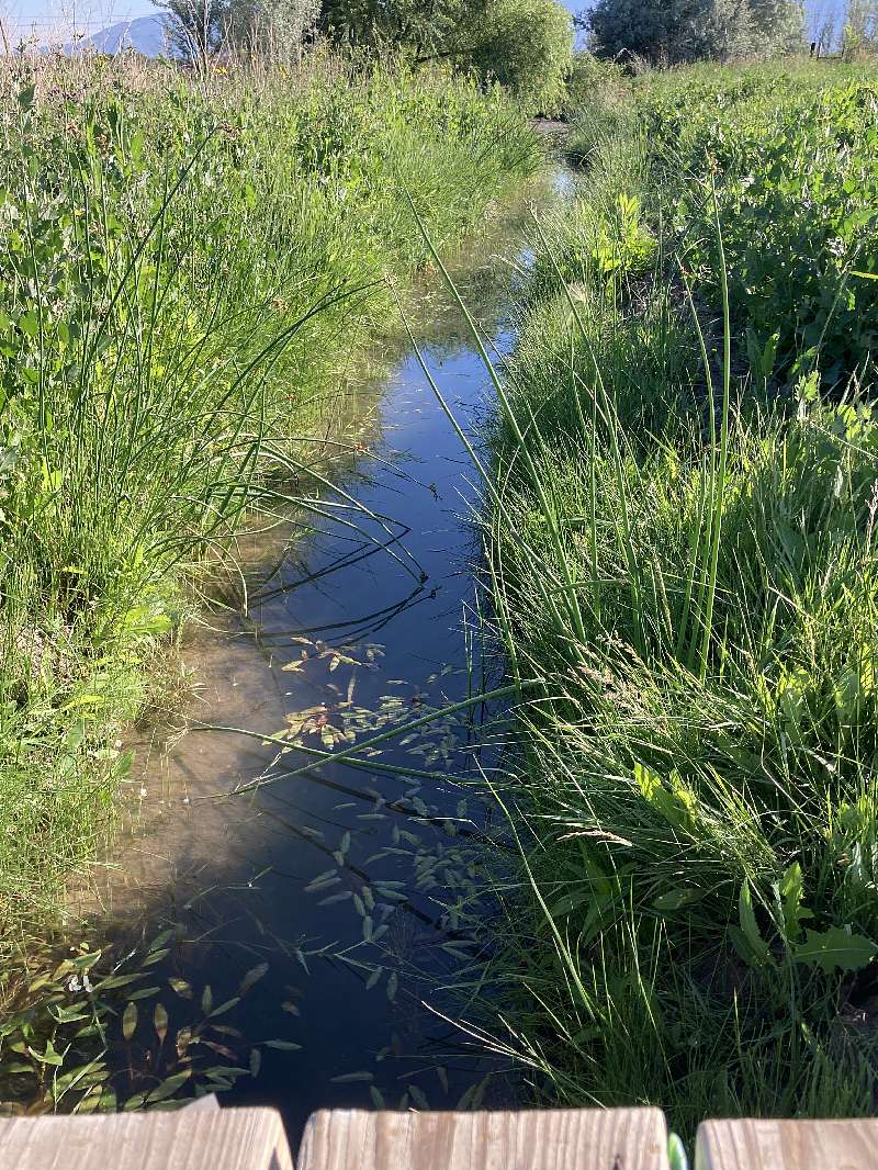 3.3 Acres of Improved Land for Sale in Taos, New Mexico