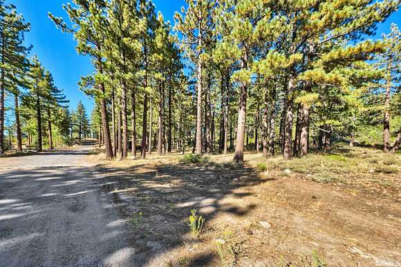 1 Acre of Land for Sale in Reno, Nevada