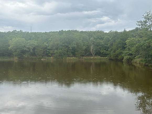 Lg Pond