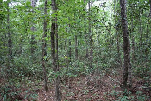 25 Acres of Recreational Land & Farm for Sale in Walterboro, South Carolina