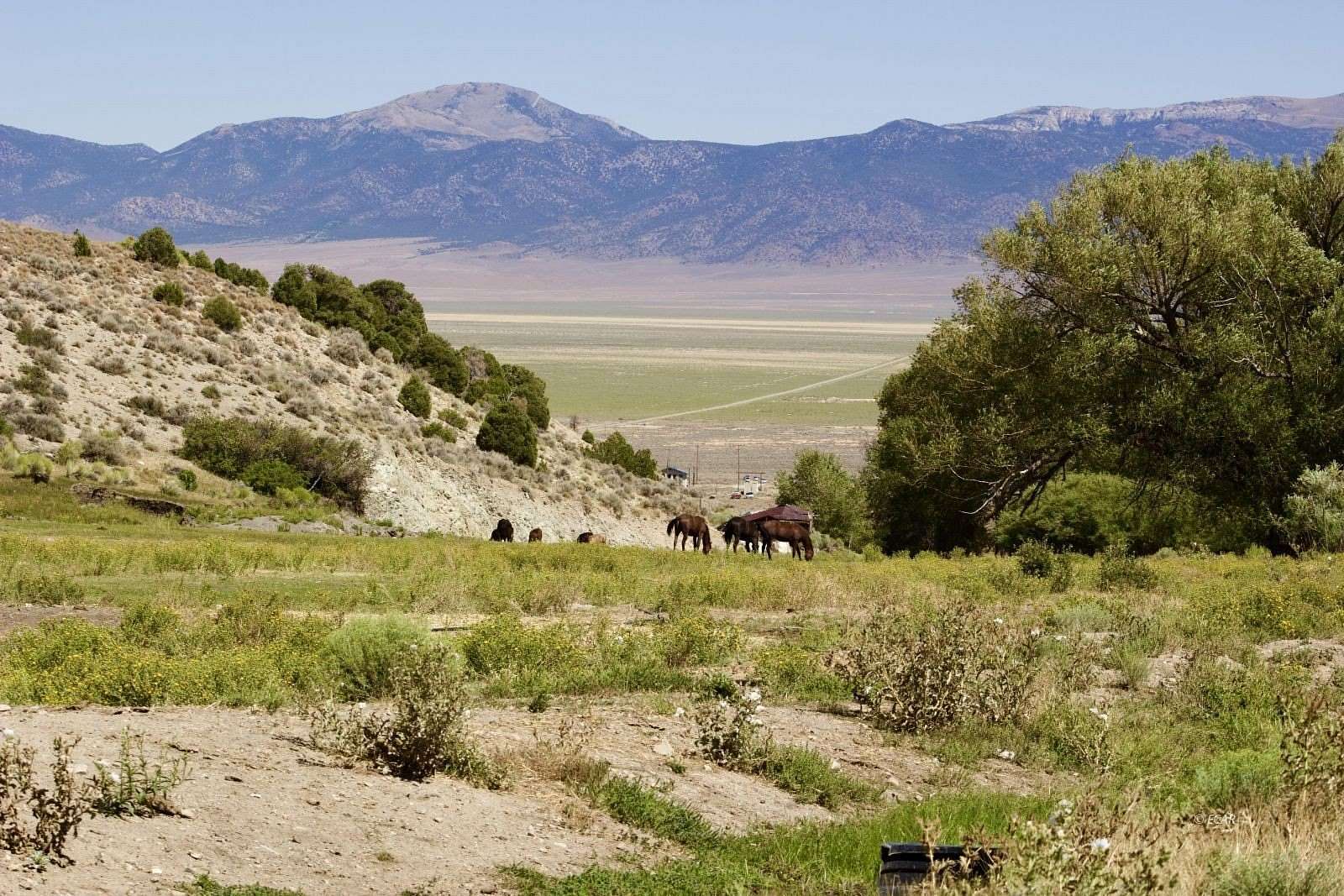 111.79 Acres of Agricultural Land for Sale in Ely, Nevada