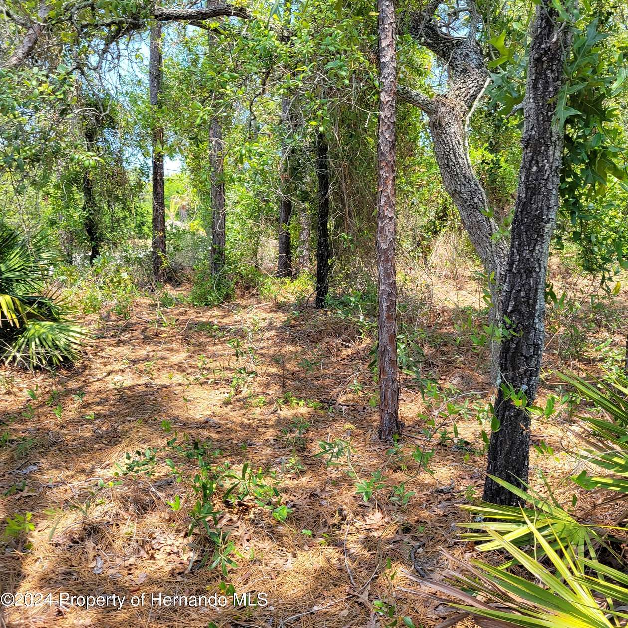 0.77 Acres of Residential Land for Sale in Weeki Wachee, Florida