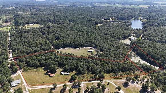 15 Acres of Recreational Land for Sale in Geneva, Alabama