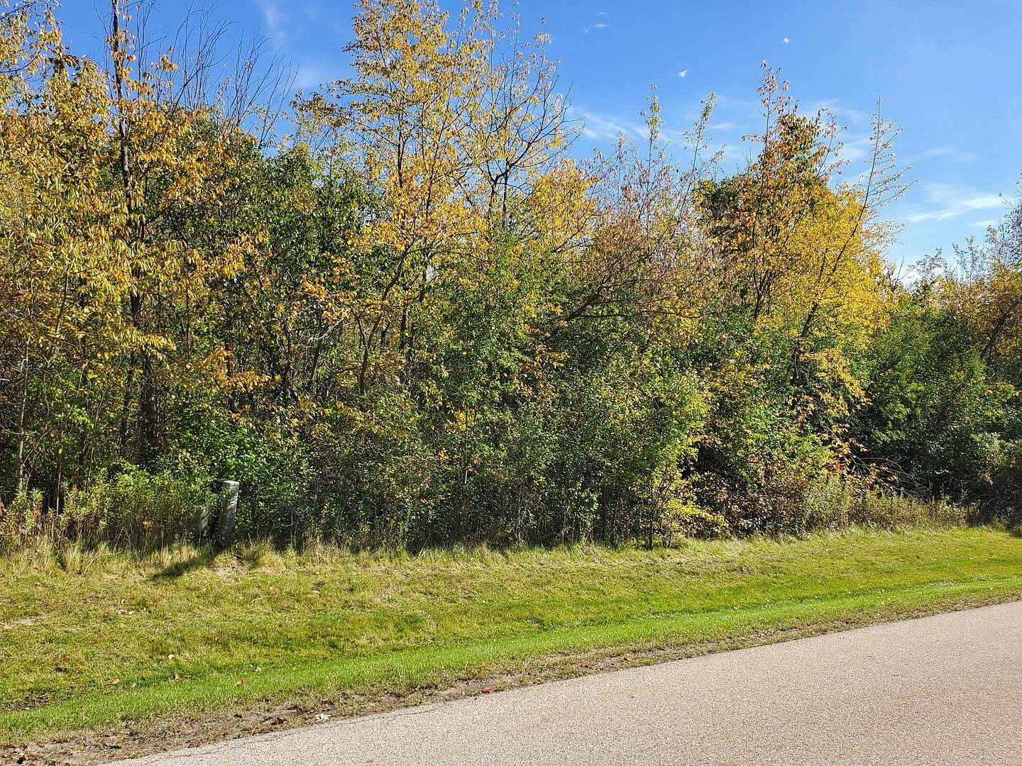 1.67 Acres of Residential Land for Sale in Wadsworth, Illinois