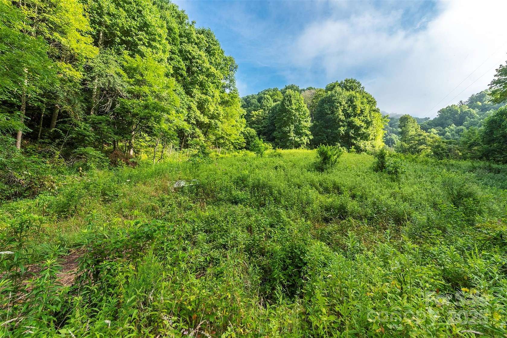 25 Acres of Recreational Land & Farm for Sale in Green Mountain, North Carolina