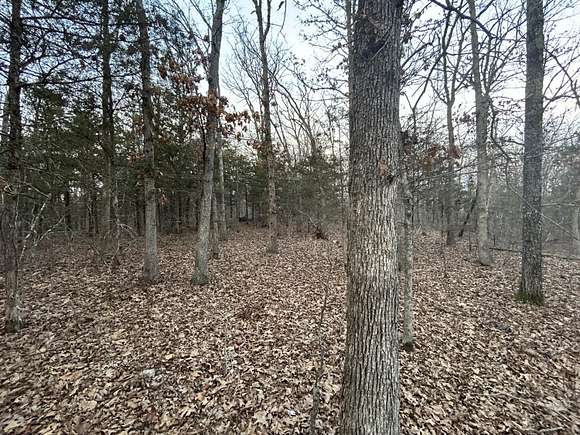 9.06 Acres of Land for Sale in Hermitage, Missouri