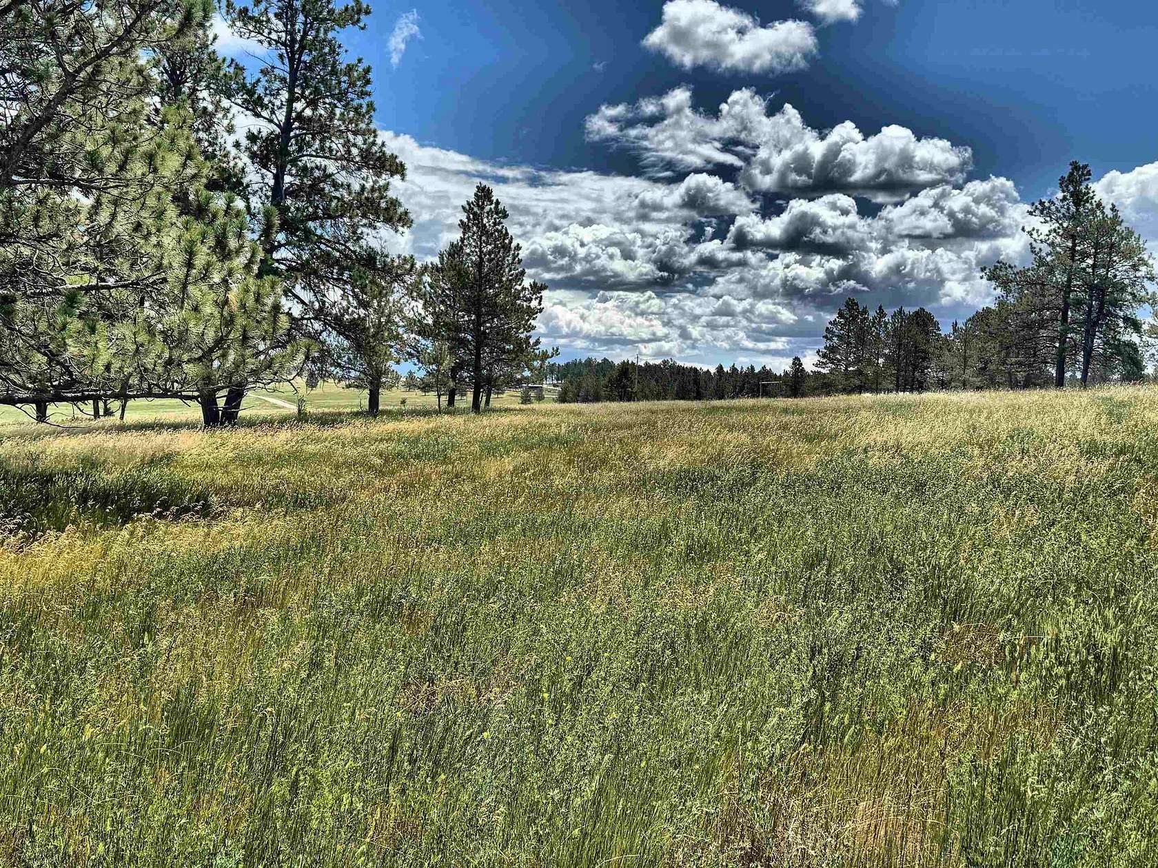 20 Acres of Recreational Land & Farm for Sale in Custer, South Dakota