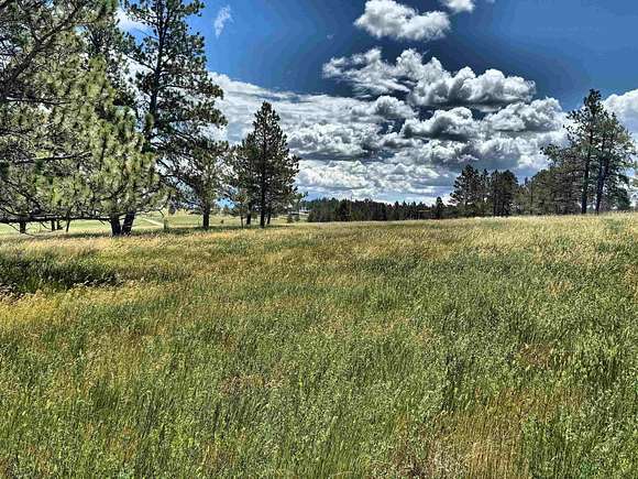 20 Acres of Recreational Land & Farm for Sale in Custer, South Dakota