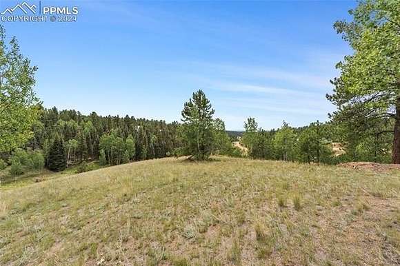 1.28 Acres of Residential Land for Sale in Divide, Colorado