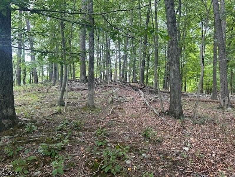 1.84 Acres of Residential Land for Sale in Andover Township, New Jersey