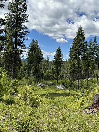 20 Acres of Recreational Land for Sale in Republic, Washington