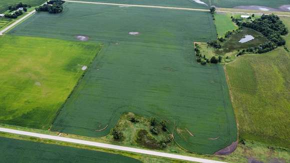 57.56 Acres of Agricultural Land for Sale in Lake Crystal, Minnesota