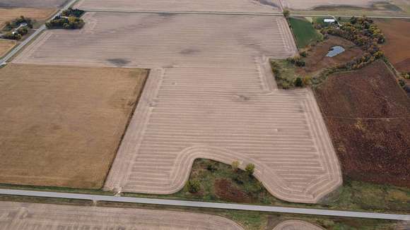 57.56 Acres of Agricultural Land for Sale in Lake Crystal, Minnesota