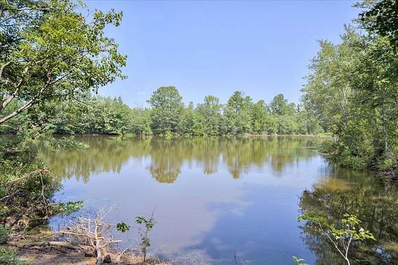 55 Acres of Land with Home for Sale in Sardis, Georgia