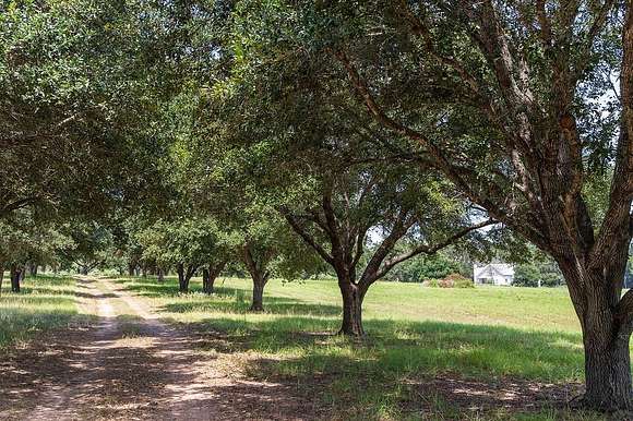 36.636 Acres of Land with Home for Sale in Columbus, Texas