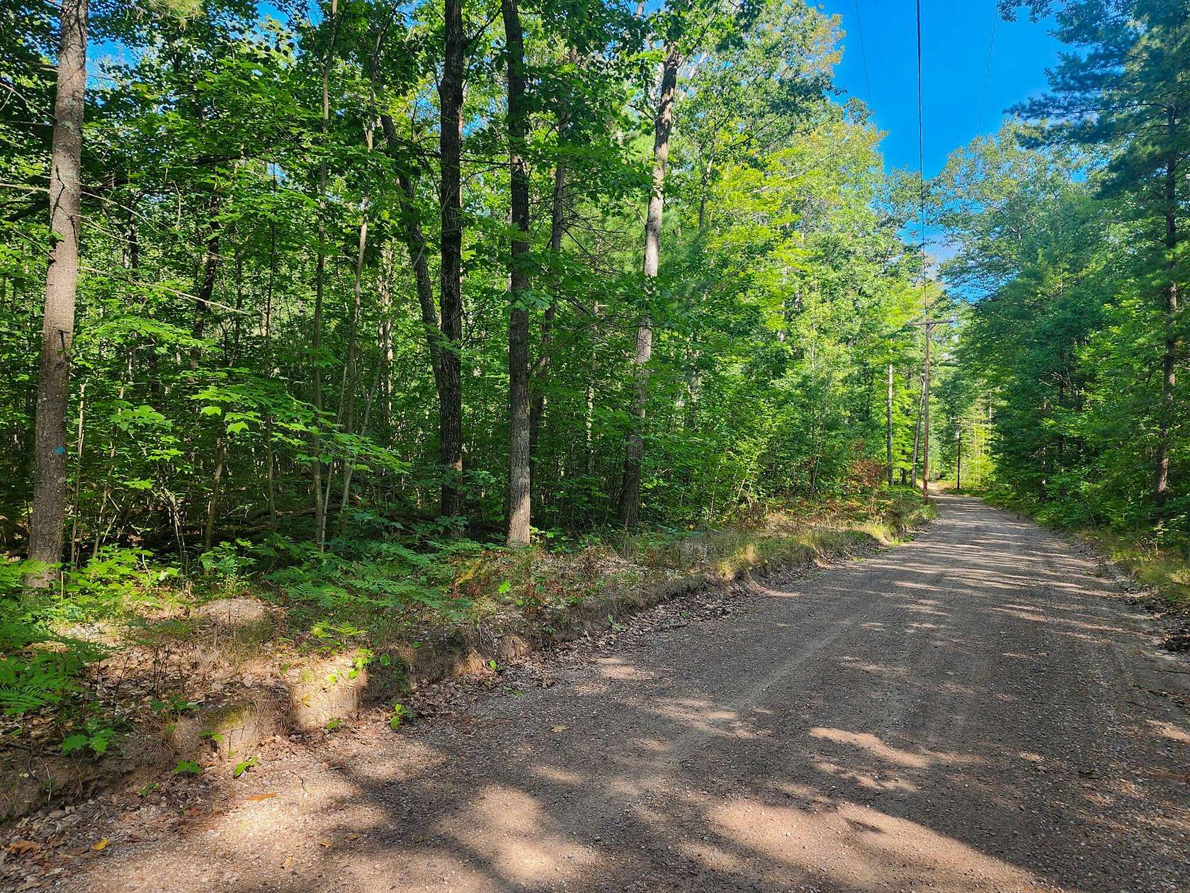 0.115 Acres of Land for Sale in Topinabee, Michigan