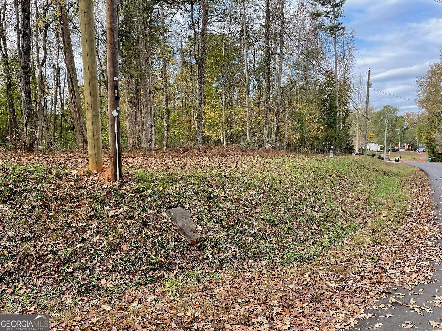 Residential Land for Sale in Lavonia, Georgia