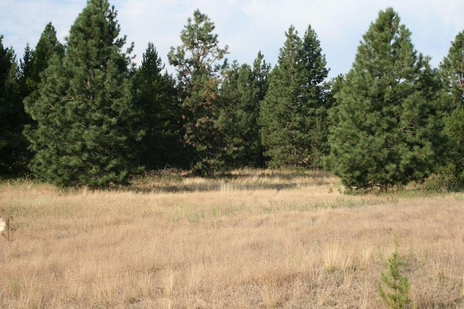 40.41 Acres of Agricultural Land for Sale in Deer Park, Washington