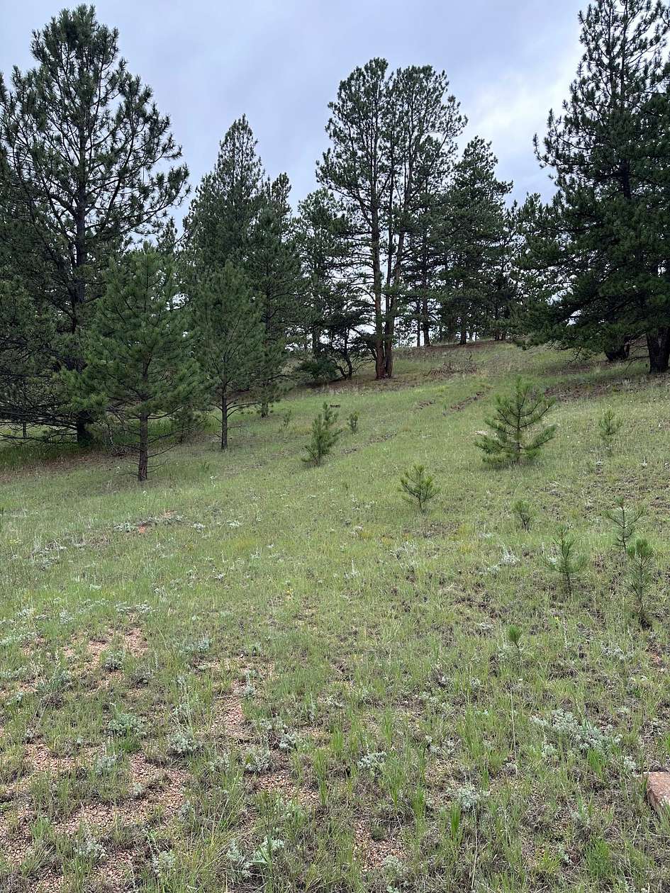 0.71 Acres of Land for Sale in Florissant, Colorado