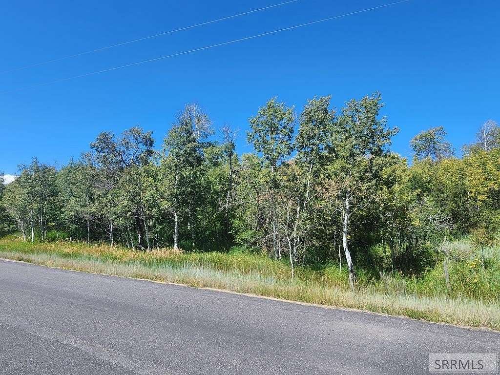 1 Acre of Land for Sale in Ashton, Idaho