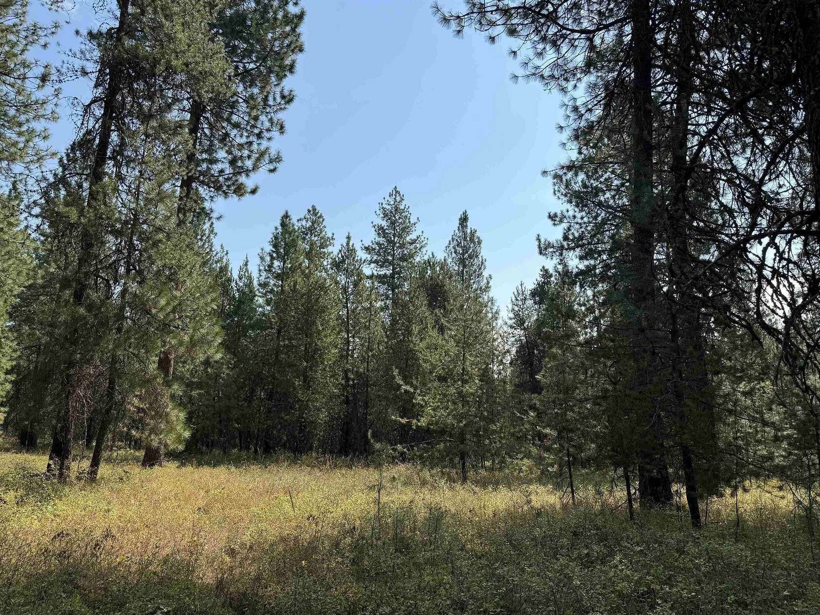 9.85 Acres of Residential Land for Sale in Deer Park, Washington