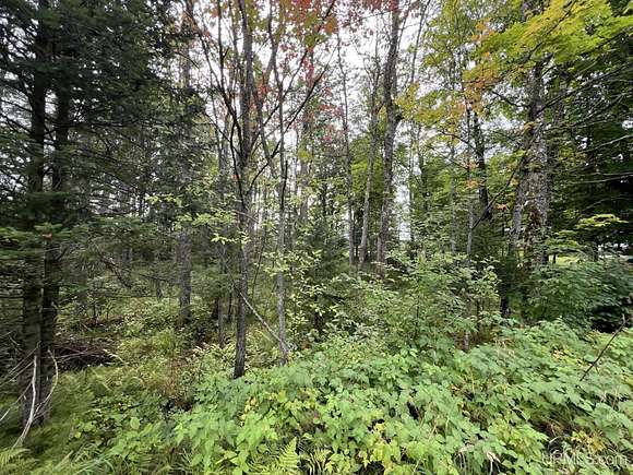 0.39 Acres of Residential Land for Sale in Iron River, Michigan