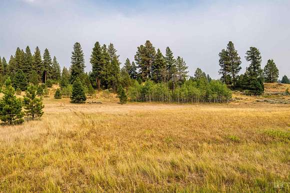 5.92 Acres of Residential Land for Sale in Cascade, Idaho