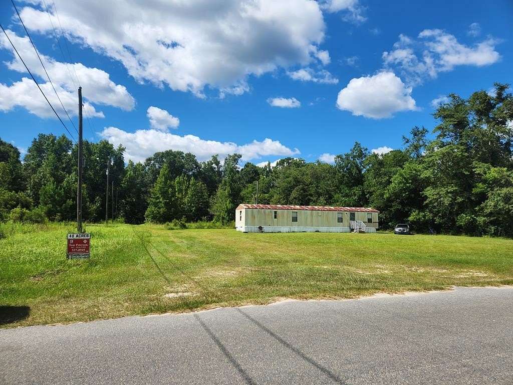 40 Acres of Recreational Land for Sale in Lumber City, Georgia