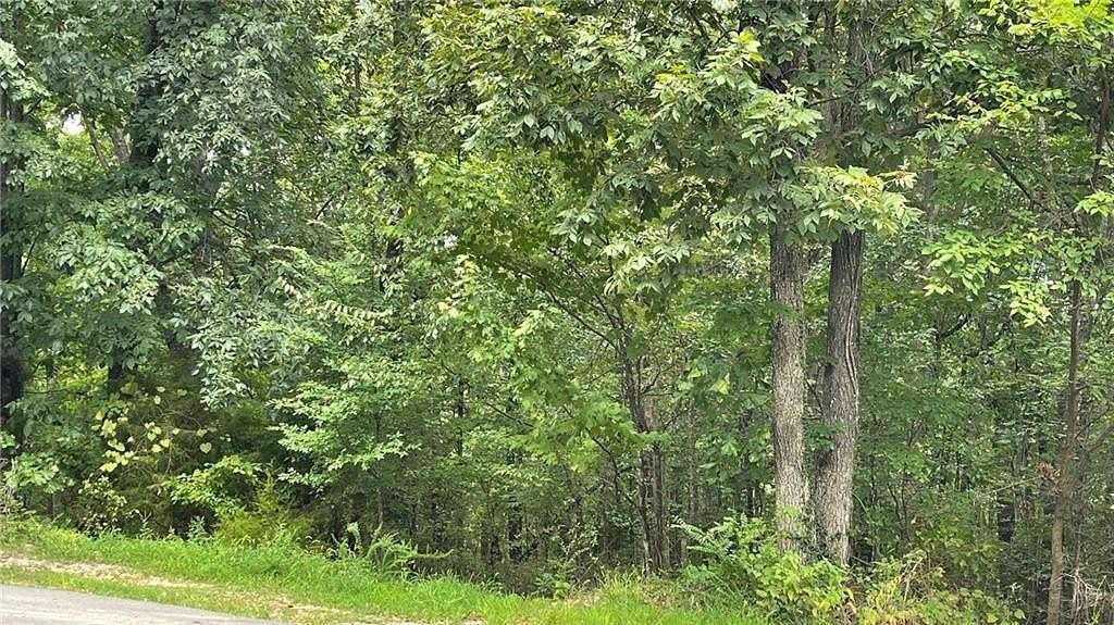 0.3 Acres of Land for Sale in Bella Vista, Arkansas