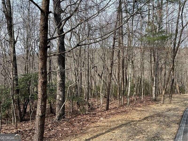 3 Acres of Residential Land for Sale in Jasper, Georgia