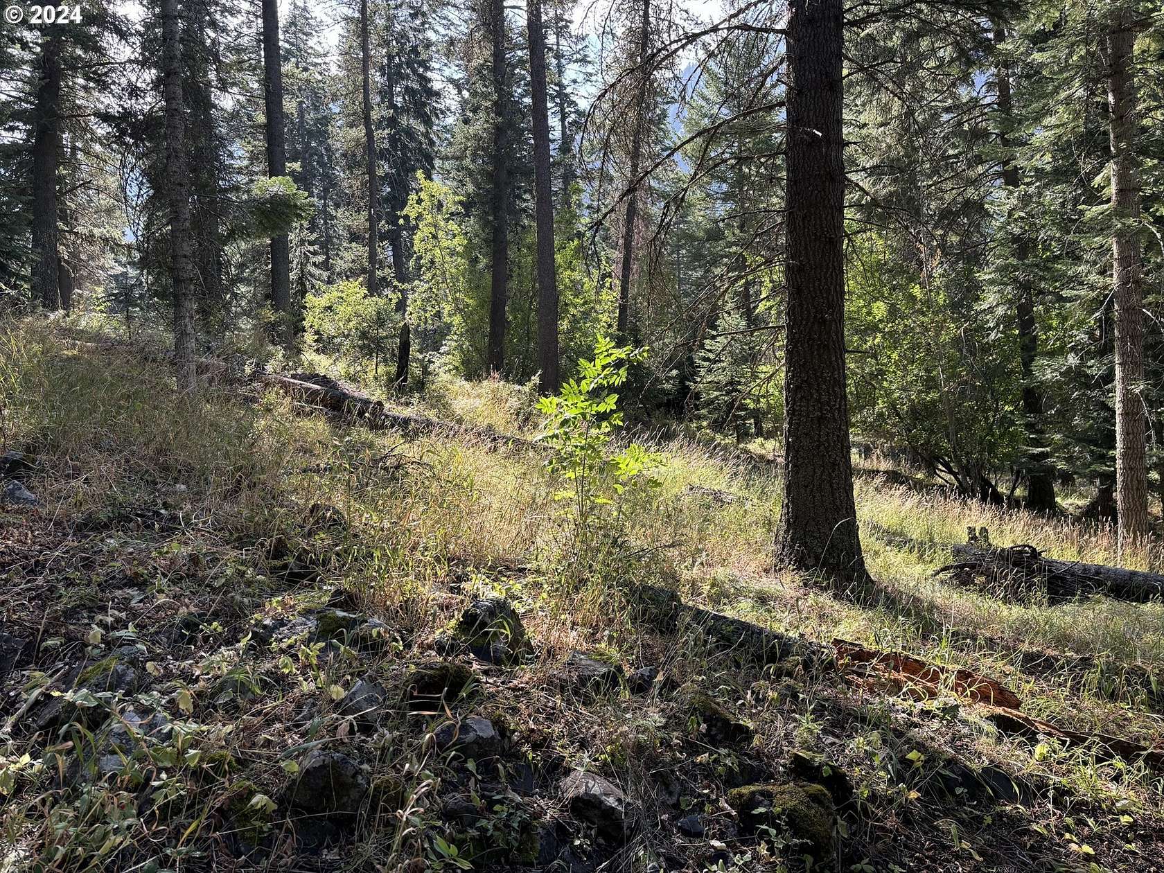 1.69 Acres of Residential Land for Sale in Joseph, Oregon