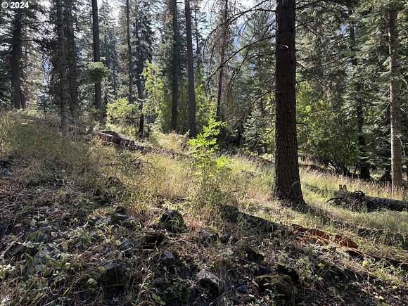 1.69 Acres of Residential Land for Sale in Joseph, Oregon