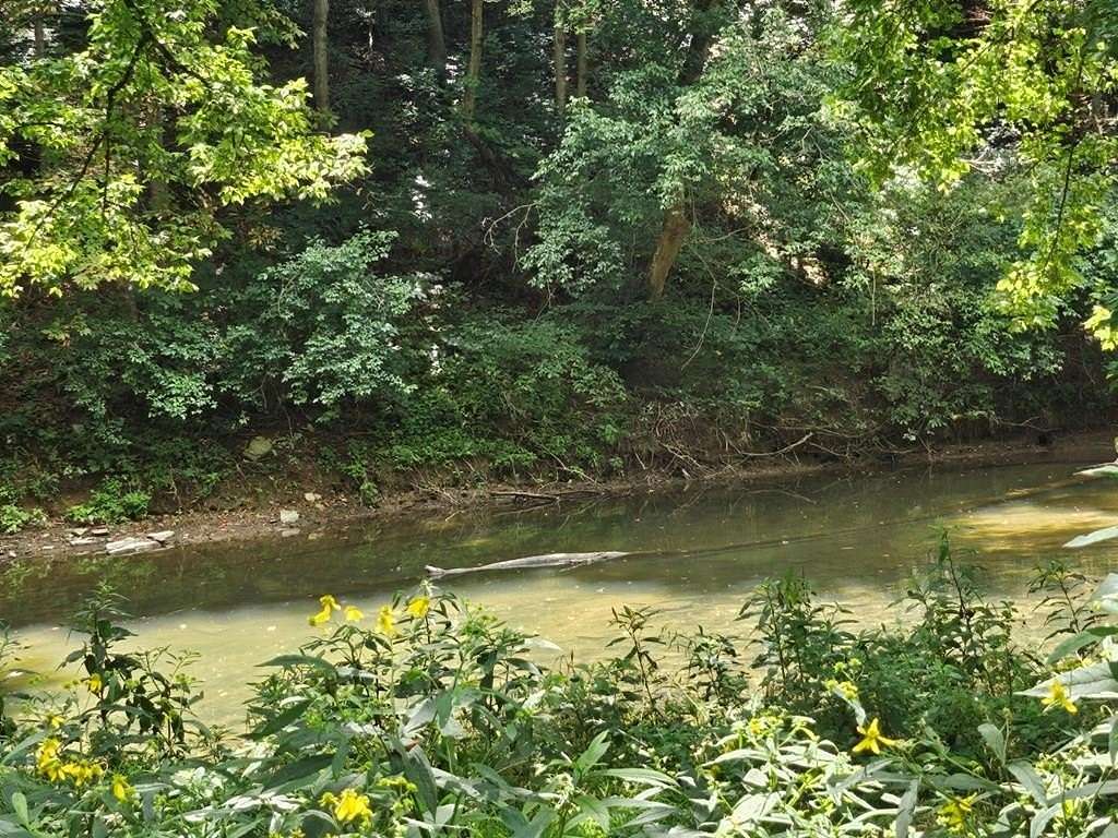 25.58 Acres of Recreational Land for Sale in Max Meadows, Virginia