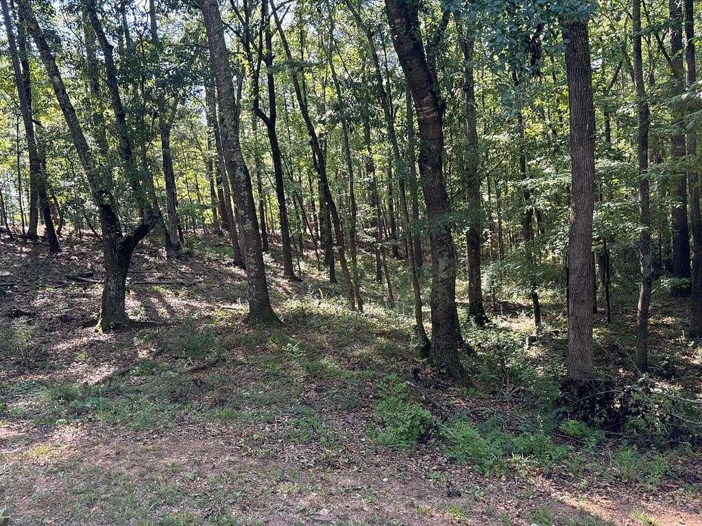 1.4 Acres of Land for Sale in Midland, Georgia