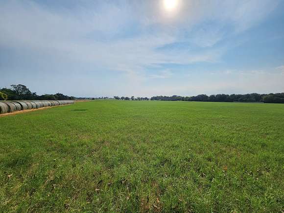 17.5 Acres of Land for Sale in Wills Point, Texas