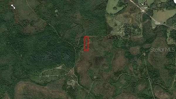 5 Acres of Land for Sale in Clermont, Florida