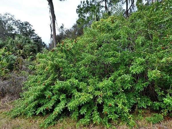 0.23 Acres of Land for Sale in North Port, Florida