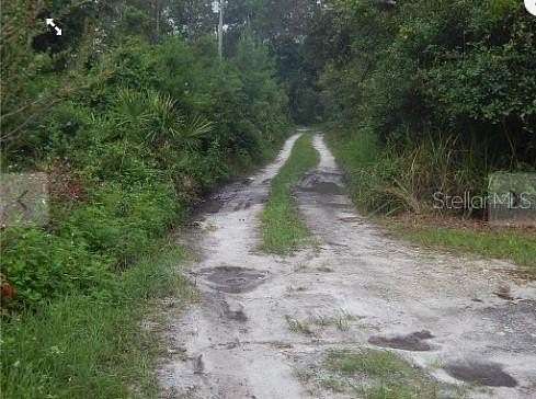 0.29 Acres of Residential Land for Sale in Paisley, Florida