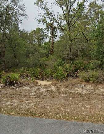 1.16 Acres of Residential Land for Sale in Crystal River, Florida