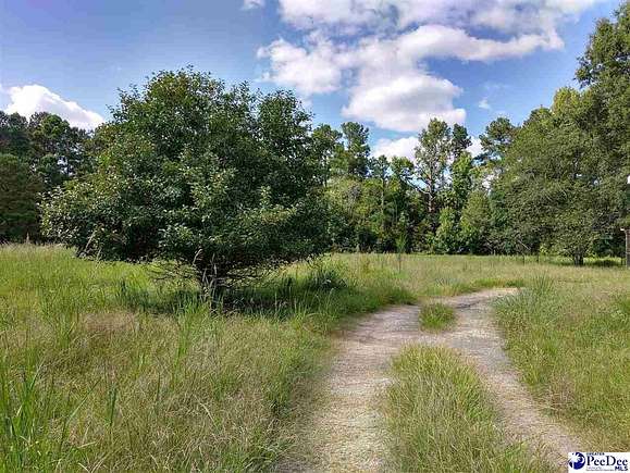 3.84 Acres of Land for Sale in Timmonsville, South Carolina