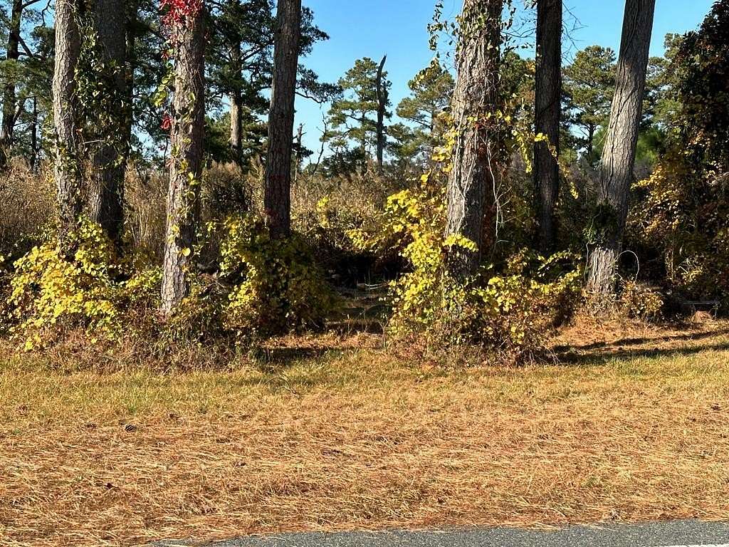 0.27 Acres of Residential Land for Sale in Chincoteague, Virginia