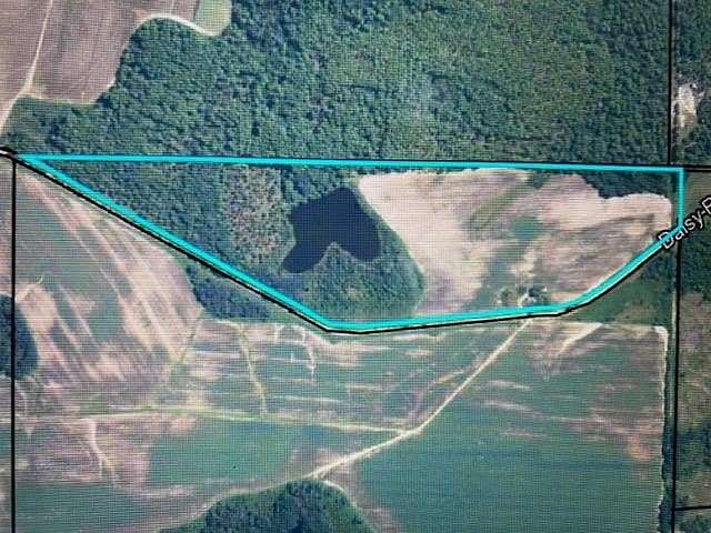 41.85 Acres of Recreational Land & Farm for Sale in Tifton, Georgia